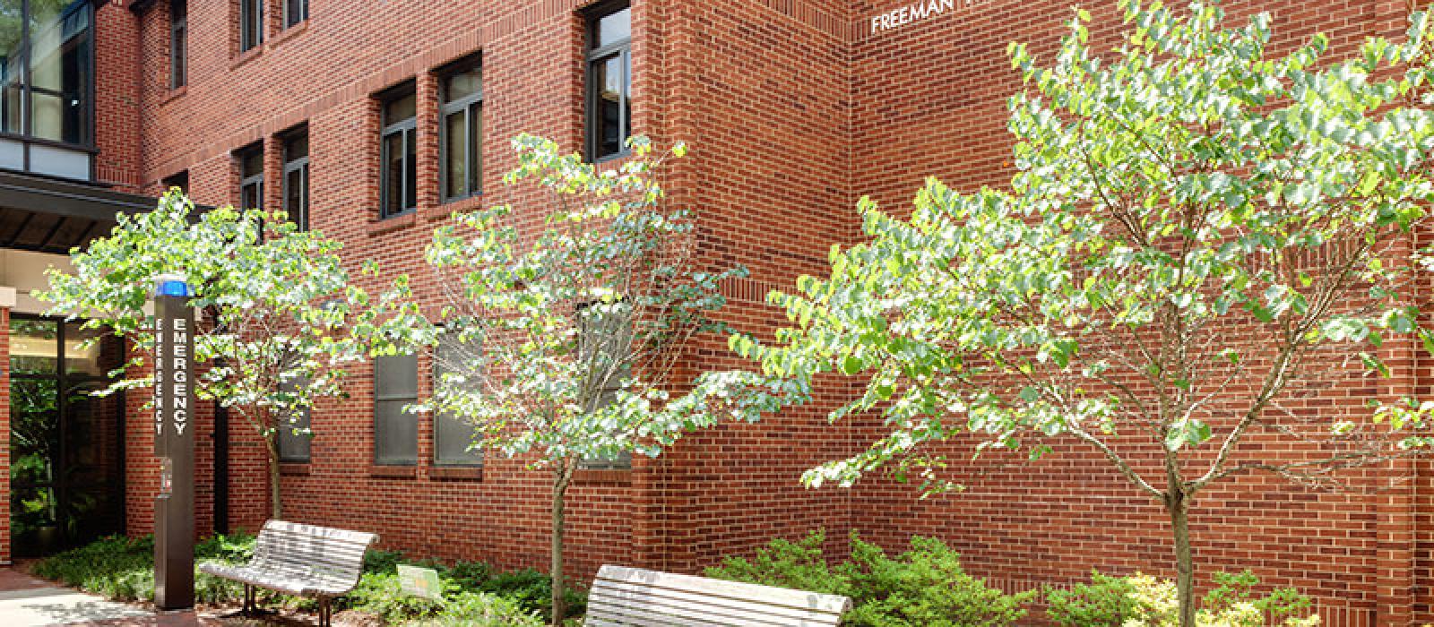 View of the Freeman main entrance patio and building.